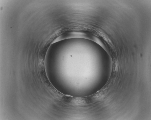 X0000089700521200706211321