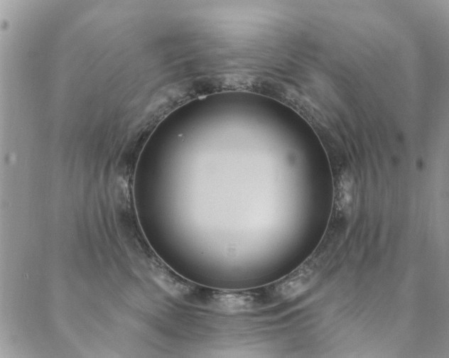 X0000089700522200706211321