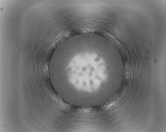 X0000089700523200706211321