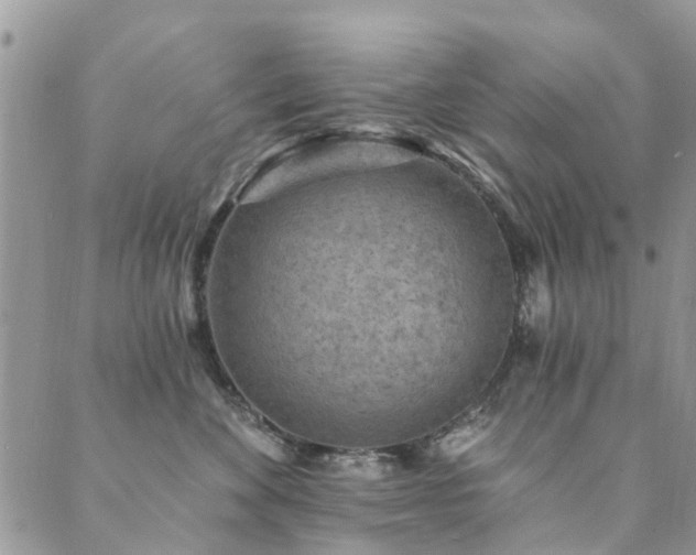 X0000089700524200706211321