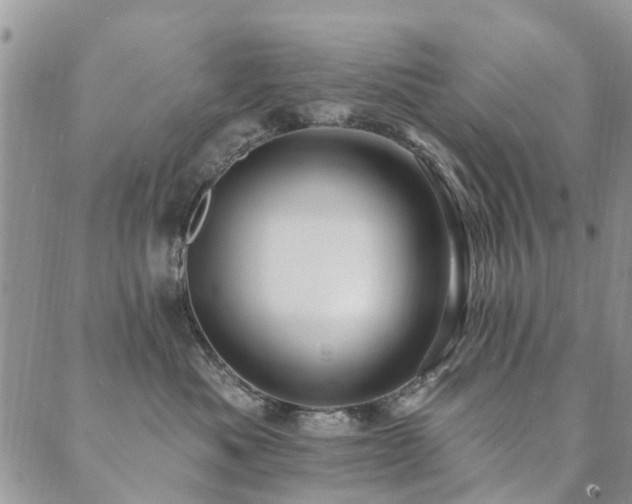 X0000089700525200706211321