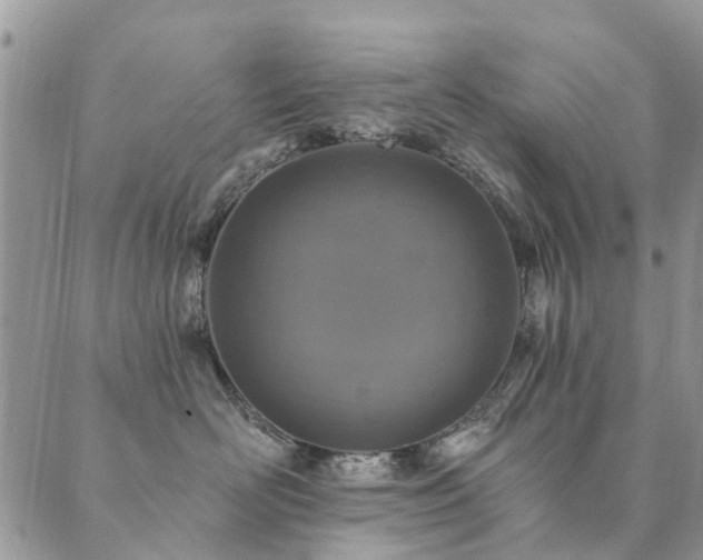 X0000089700526200706211321