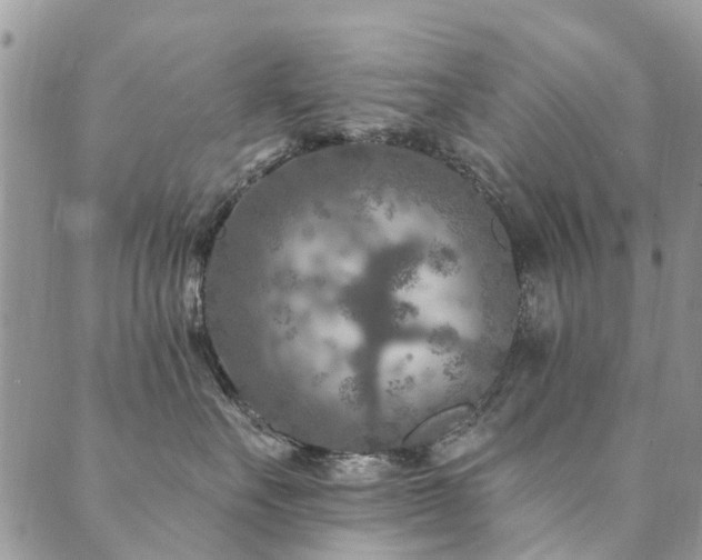 X0000089700527200706211321