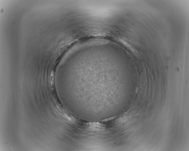 X0000089700528200706211321