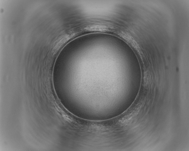 X0000089700529200706211320