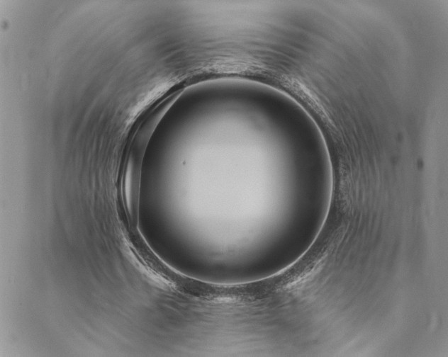 X0000089700530200706211320