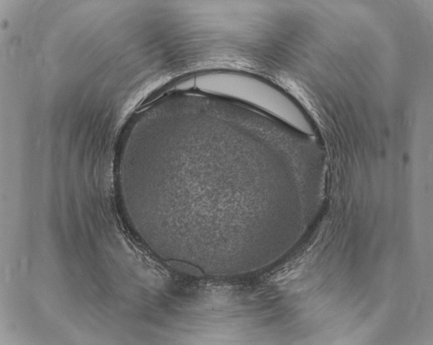 X0000089700531200706211320