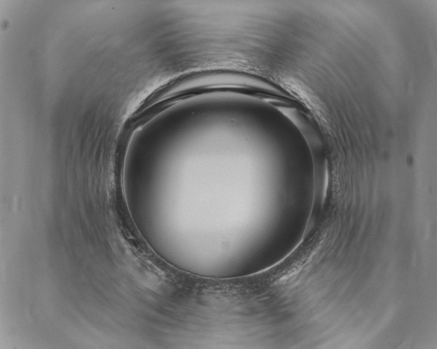 X0000089700532200706211320