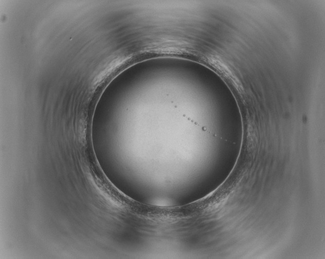 X0000089700533200706211320