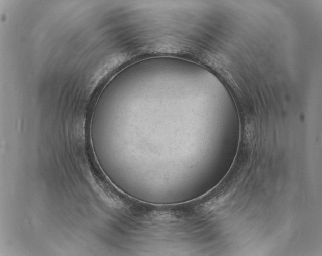 X0000089700534200706211320