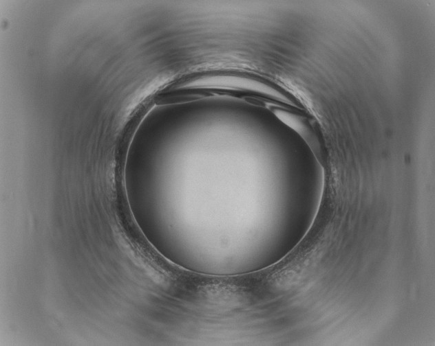 X0000089700535200706211320