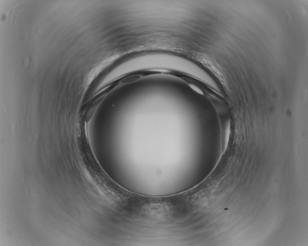 X0000089700536200706211320