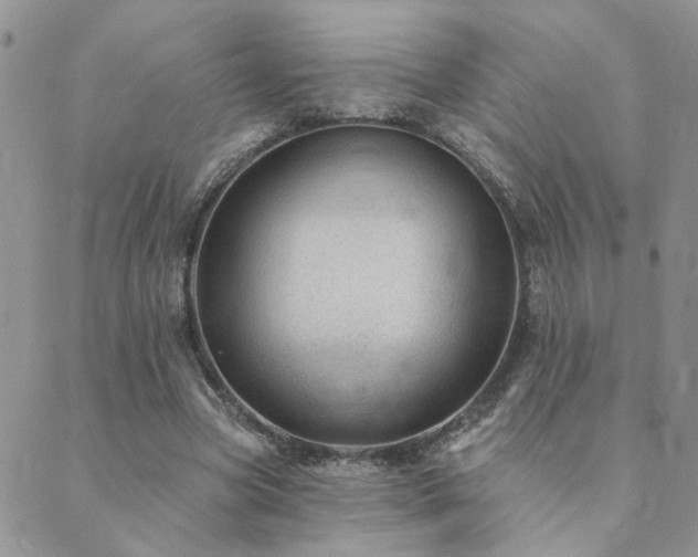 X0000089700537200706211320