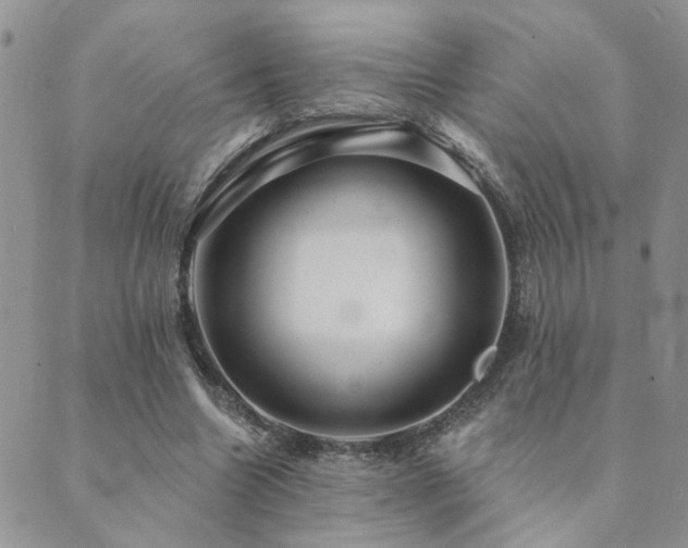 X0000089700538200706211320