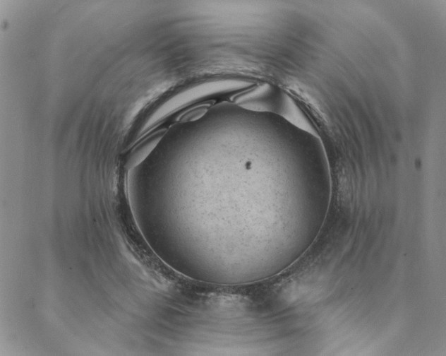 X0000089700539200706211320