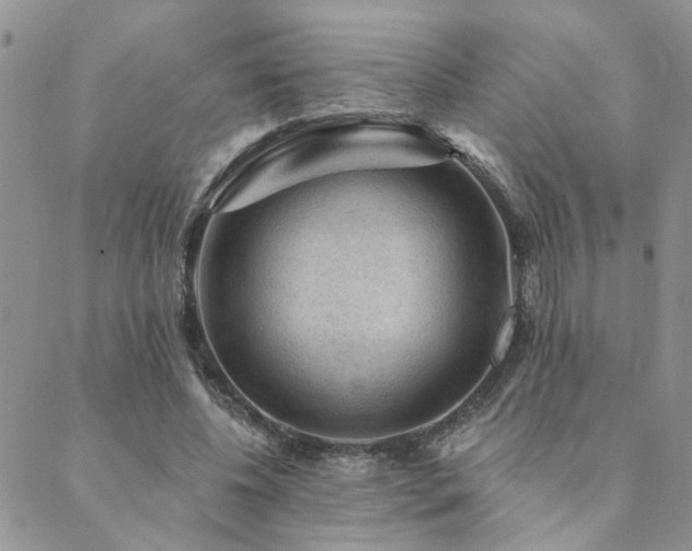 X0000089700540200706211320