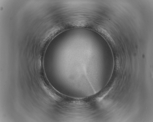 X0000089700541200706211321