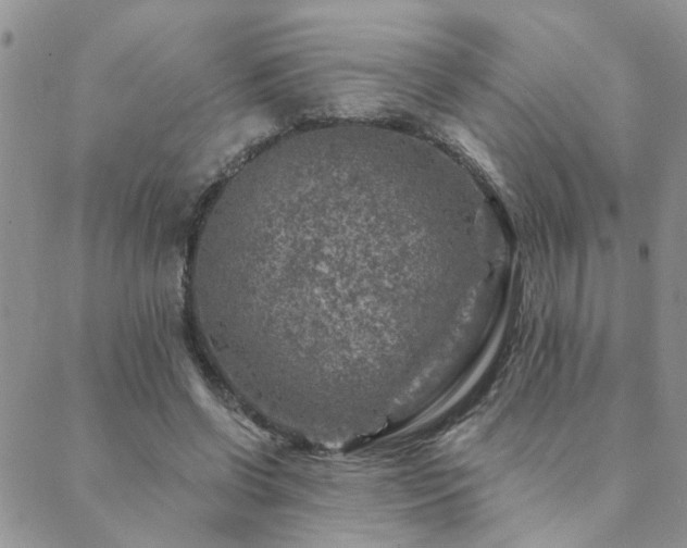 X0000089700542200706211321