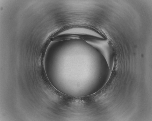 X0000089700543200706211321