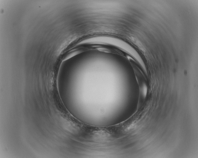 X0000089700544200706211321