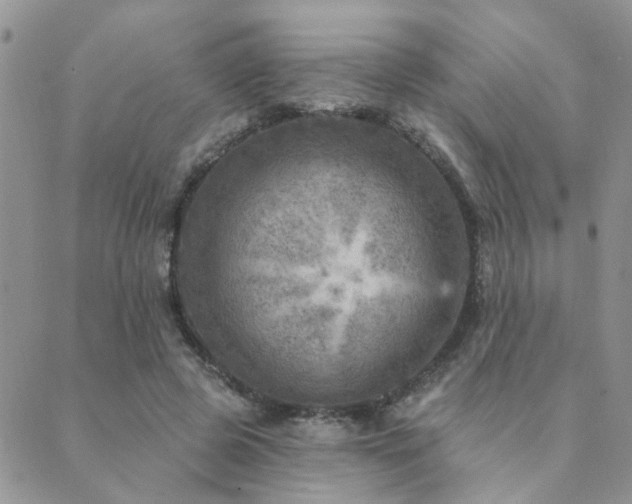 X0000089700545200706211321