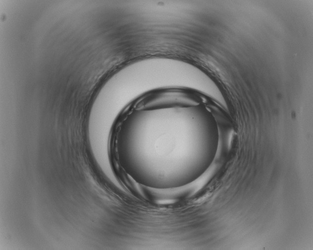 X0000089700546200706211321