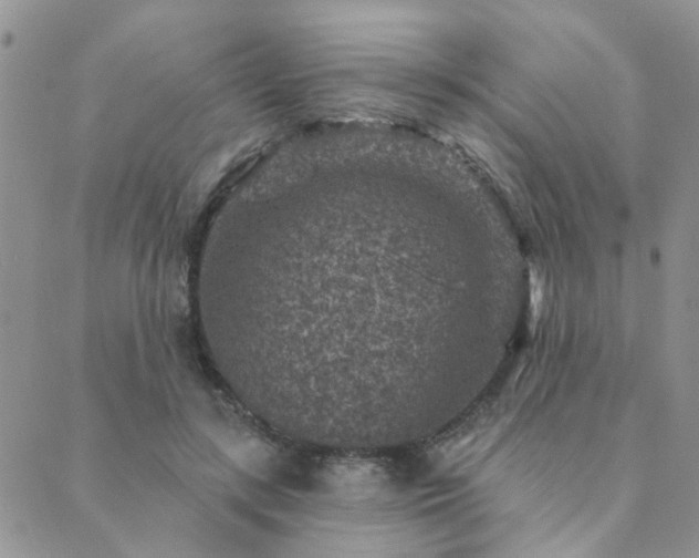 X0000089700547200706211321