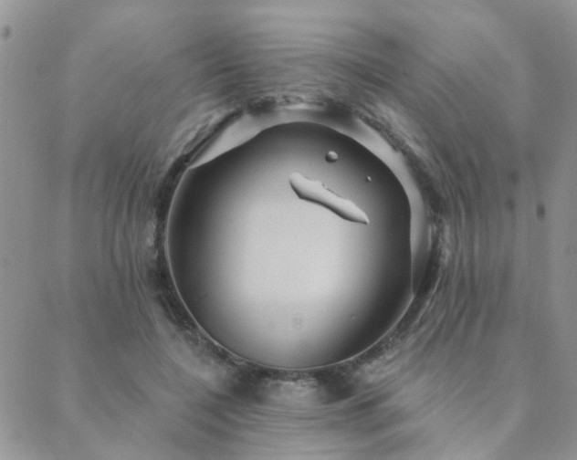 X0000089700548200706211321