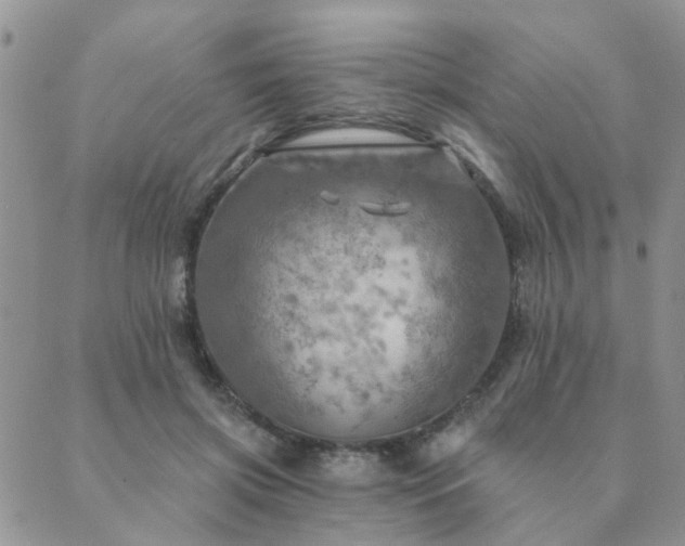 X0000089700549200706211321