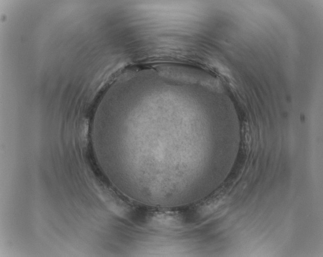 X0000089700550200706211321