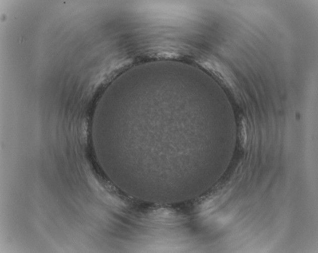 X0000089700551200706211321