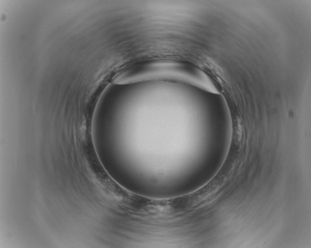 X0000089700552200706211321