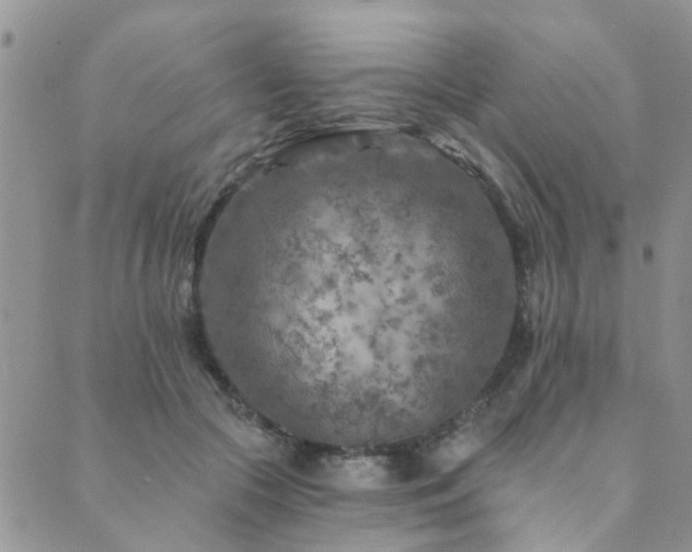 X0000089700553200706211321