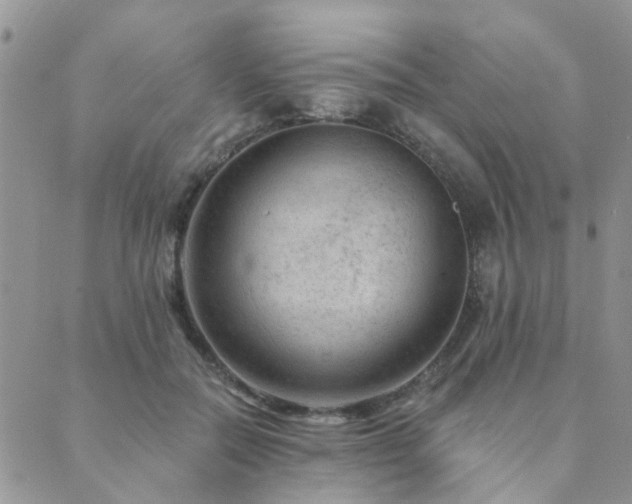 X0000089700554200706211321