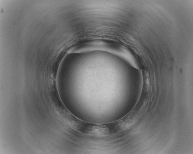 X0000089700555200706211321