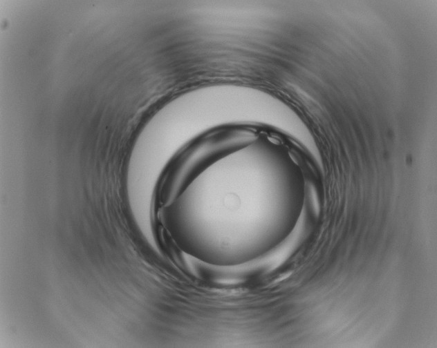 X0000089700556200706211321