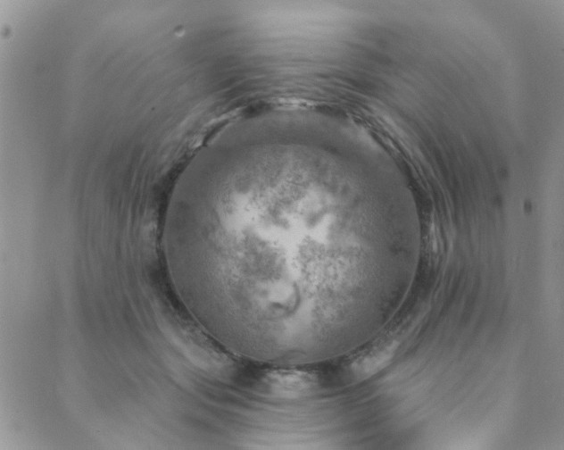 X0000089700557200706211321