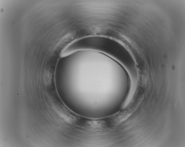 X0000089700558200706211321