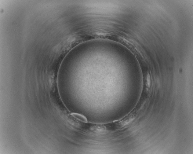 X0000089700559200706211321