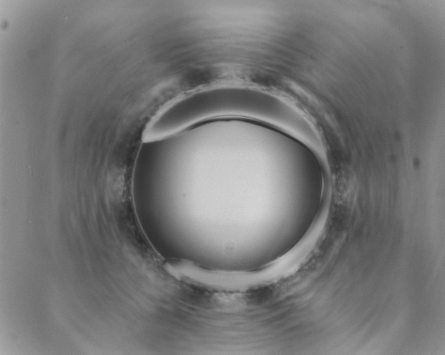 X0000089700560200706211321