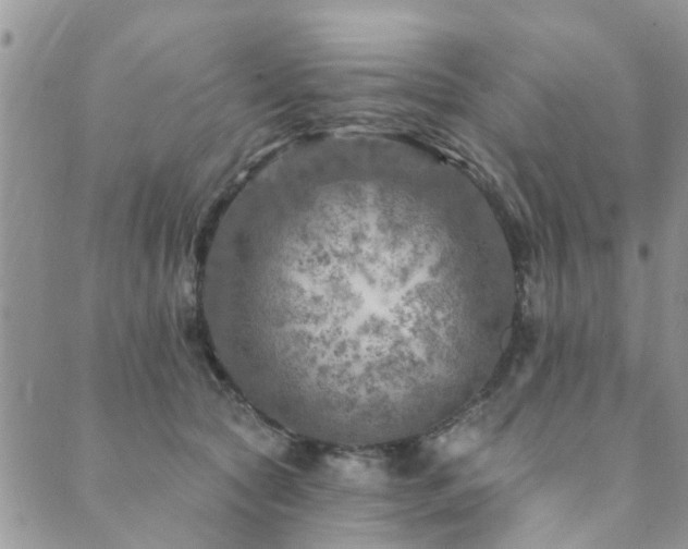 X0000089700561200706211321