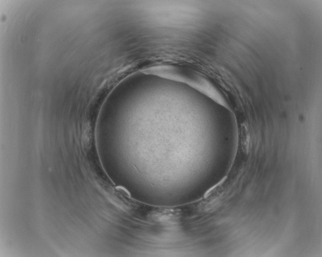 X0000089700563200706211321