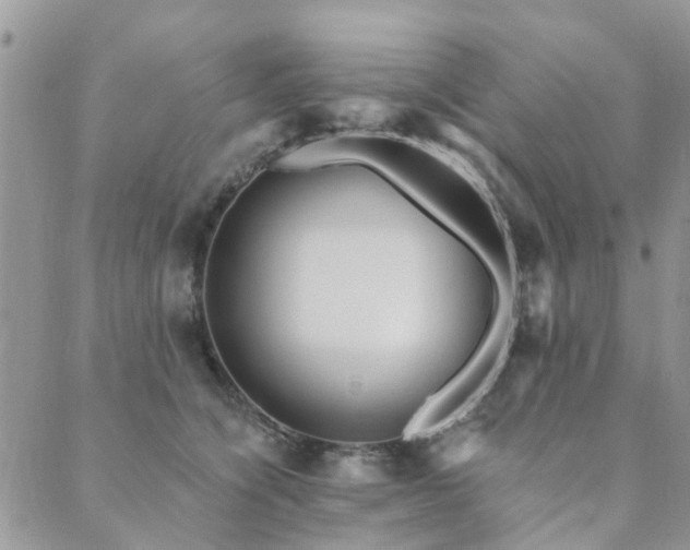 X0000089700564200706211321