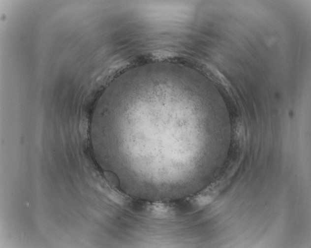 X0000089700565200706211321