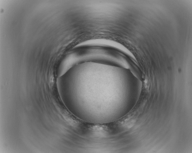 X0000089700566200706211321