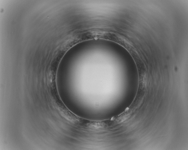 X0000089700567200706211321