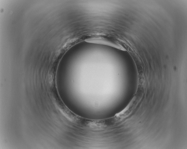 X0000089700568200706211321