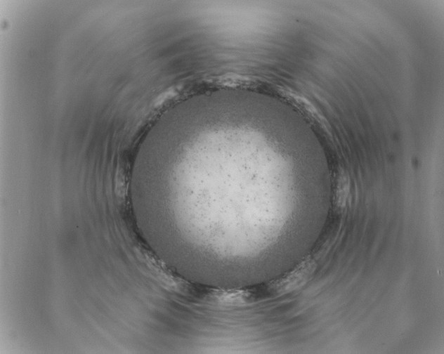 X0000089700569200706211321