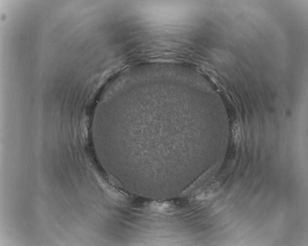 X0000089700570200706211321