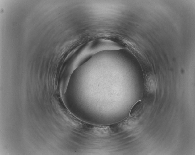 X0000089700571200706211321